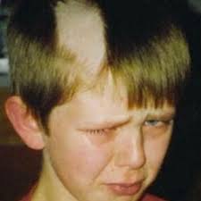 Cassie Clark (@dogwoodblooms)