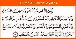 Image result for Surat Ali-Imran ayat 14