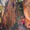 Things to do near zion canyon scenic drive. 1