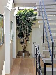 Installation als arternative zum echten baum im haus. Kleiner Baum Pflanze In Wohnraum Wohnung Online Kaufen