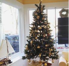 20 reviews of christmas tree shops this place has it. Buy Local Where To Find Eco Friendly Christmas Trees On Cape Cod Robert Paul Properties