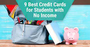 A low income credit card is designed for those who are on low salaries, so that can get the credit they need. 9 Best Credit Cards For Students With No Income