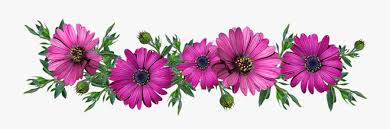 Flowers, Daisies, Arrangement, Cut Out - Kwiaty Gify Bez Tła , Free  Transparent Clipart - ClipartKey