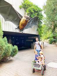 Lamezia terme on the map. Cu Copiii La Frankfurt Ce Sa Vezi Unde Sa Stai Si Sa Mananci Mic Ghid Pentru Parinti Crestem Si Calatorim