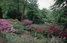 Der öffentliche botanische garten bielefeld kann auf eine historie von 95 jahren zurückblicken. Eghn Botanischer Garten Bielefeld