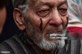 504 Mark Leach Stock Photos, High-Res Pictures, and Images