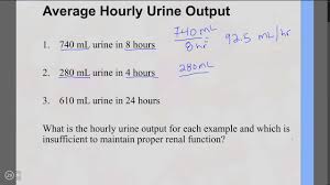 Image result for Urine Output