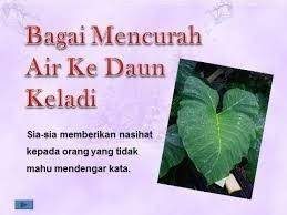 Air, daun, dipedulikan, garam, keladi, kesan, laut, mencurah, nasihat, pesanan, telinga kanan, telinga kiri. Mencurahkan Air Ke Daun Keladi Malayqerstag