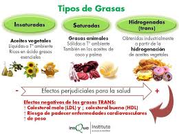 Tipos De Grasas Gloria Amaya