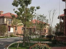 Search for text in self post contents. ä¸œæµ·å¾¡åº­ç¤¾åŒºå®žæ™¯7 138 ä¸Šæµ·ä¹å±…