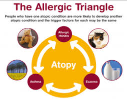 Image result for Allergic Triad
