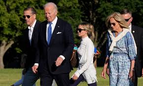 Image result for Bidens flagellata