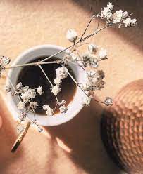 صباح الخير للذين يصنعون من نور الشمس فرحا عظيما ومن كوب القهوة مزآجا م نفردا cluse watch cluse accessories
