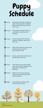 How To Survive Your Puppy S First Night At Home Puppy Schedule First Night With Puppy Puppy Training