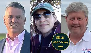 Kidd departure opens Senate District 31 in SWOK