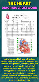 Heart Crossword With Diagram Editable Teaching Science