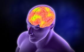 En español, afasia de wernicke (receptiva) helpful materials. Afasia Global Cuales Son Sus Principales Caracteristicas Psicoactiva