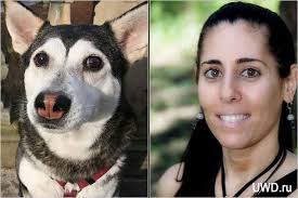 vse my znaem chto bratya i sestry pohozhi drug na druga etot fakt nevozmozhno isklyuchit kasayas bratev nashih menshih zhivotnyh dogs animals the new york times