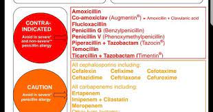 Quick Reference Pcn Allergy Info Np School Allergies Amoxicillin