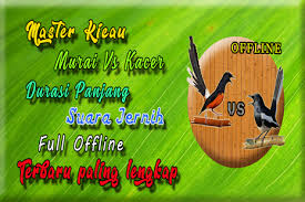 Suara burung murai batu gacor bagus penuh isian duration. Suara Kacer Dan Murai Batu For Pc Mac Windows 7 8 10 Free Download Napkforpc Com