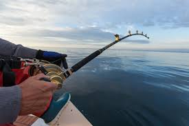 From shark fishing in australia to teasing shy brown trout out of streams in ireland, you cannot beat the quality and price of these rods. How To Choose A Fishing Rod The Complete Guide