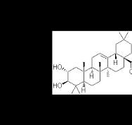 maslinic acid