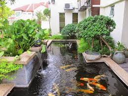 Jenis batu alam untuk membuat dinding kolam ikan. Batu Andesit Untuk Kolam Ikan Hias Minimalis Jualbatualam Id Supplier Dan Produsen Batu Alam Jual Batu Alam Harga Batu Alam Grosir Batu Alam