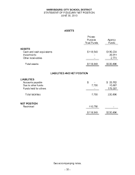 The trust assets are managed and invested by the trustee. Harrisburg School District 2013 Financial Statements