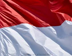 We did not find results for: Sebutkan 10 Alat Pemersatu Bangsa Indonesia Jawabannya Disini