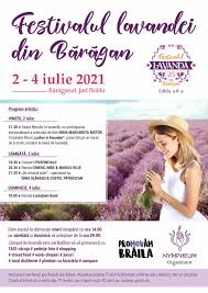 L'accès direct à un site web est l'action mené par un visiteur lorsqu'il arrive directement sur un site web, sans qu'il ne soit passé au préalable par un lien présent sur une page web externe. Stefan Toma Photography Home Facebook