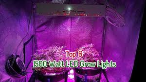 1500 watt led grow light coverage. Top 6 Best 1500 Watt Led Grow Lights Led Grow Lights Led Grow Grow Lights