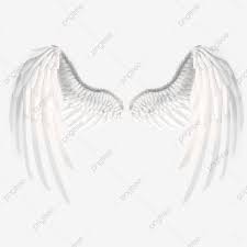 Anjo Lindas Asas Brancas Asas De Anjo Asas Brancas Asas Imagem Png E Psd Para Download Gratuito White Wings White Angel Wings Cartoon Wings