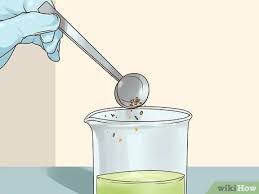 This was a first experiment with intentionally growing algae to feed fish. How To Grow Algae 10 Steps With Pictures Wikihow