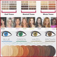 Cool Skin Color Hair Color Chart Cool Skin Color Hair Color Board 666991 Ha 666991 Board Chart Color Skin Tone Hair Color Hair Color Chart Tone Hair