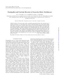 Image result for Polystachya caloglossa