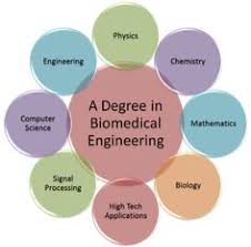Full list of top colleges, tuition, financial aid, degree options, and career insights to get matched with the perfect higher educational opportunity for you given your unique goals and aspirations. 11 Biomedical Engineering Ideas Biomedical Engineering Biomedical Engineering