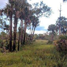 Dupuis management area is a 21,875 acre protected area in northwestern palm beach county, florida and southwestern martin county, florida.recreational opportunities include hunting, horseback riding, cycling, camping, hiking, auto touring, and fishing. Dupuis Management Area 23500 Southwest Kanner Highway Canal Point Fl 33438 Usa