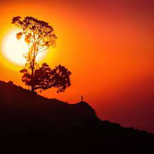 The Ultimate Ethiopia Travel Guide Updated 2021 The Planet D Ethiopia Travel Ethiopia Africa Travel