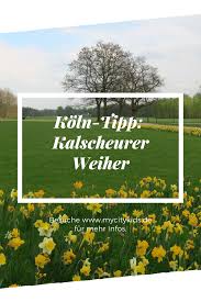 Kalscheurer Weiher Entspannter Famillienausflug An Den See My City Kids Reisen Deutschland Ausflug Nrw Ausflug