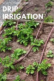 How To Set Up A Garden Drip System Gardening For Beginners Drip System Easy Garden