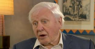 Fearful' David Attenborough's heart-wrenching death confession: 'I'd just like it to be a quick process'