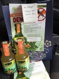 Rendamkan daun dalam bekas berisi air untuk 15 minit. Demam Denggi Jus Daun Betik Posts Facebook