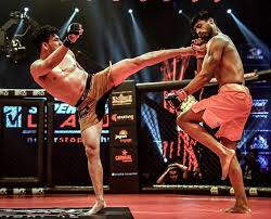 Mma is an awesome sport. The Growing Popularity Of Mma In India Desiblitz