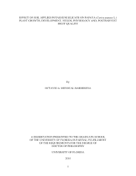 UNIVERSITY OF FLORIDA THESIS OR DISSERTATION FORMATTING TEMPLATE