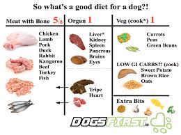 diy raw dog food dogs first raw dog food