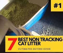 Before choosing the you should know that not what's more, if you utilize a litter box mat to grab as many stray pellets still attached to your furry companion as possible, the larger granules won't be. 7 Best Non Tracking Cat Litter 2021 Updated Catthink