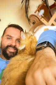 Giant silver torty kittens for sale