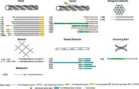 Preclinical Challenges For Developing Long Acting Intravitreal Medicines Sciencedirect