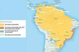 Image result for Yellow Fever