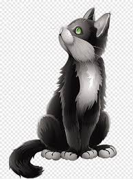 Katze Katzchen Zeichnen Katze Tiere Animation Kunst Png Pngwing